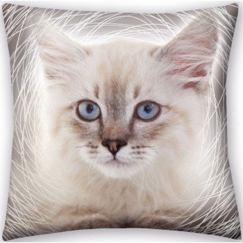 Cicás párna, díszpárna 40*40 cm Cicás párna, díszpárna 40*40 cm