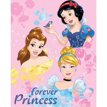 Disney Hercegnők polár takaró 130x170 cm Disney Hercegnők polár takaró 130x170 cm