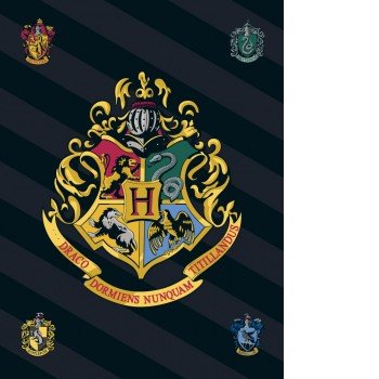 Harry Potter polár takaró 100*140cm Harry Potter polár takaró 100*140cm