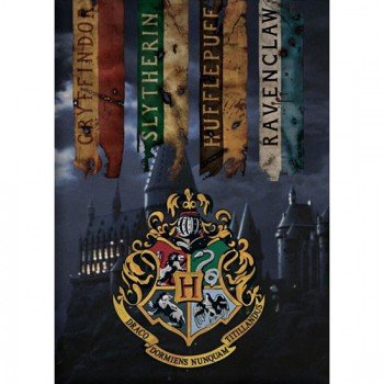 Harry Potter Houses polár takaró 100x140cm Harry Potter Houses polár takaró 100x140cm