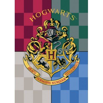 Harry Potter polár takaró 100*140cm Harry Potter polár takaró 100*140cm