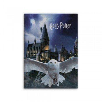 Harry Potter Roxfort polár takaró 100x140cm Harry Potter Roxfort polár takaró 100x140cm