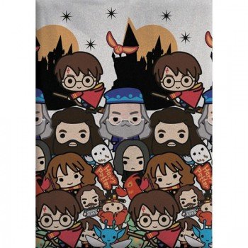Harry Potter polár takaró 100x140cm Harry Potter polár takaró 100x140cm
