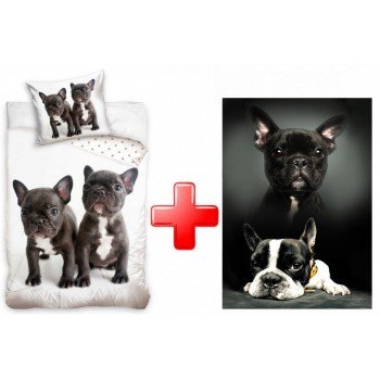 Kutyás ágyneműhuzat és polár takaró szett Kutyás ágyneműhuzat és polár takaró szett