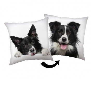 Kutyás Border Collie párna, díszpárna 40x40 cm Kutyás Border Collie párna, díszpárna 40x40 cm