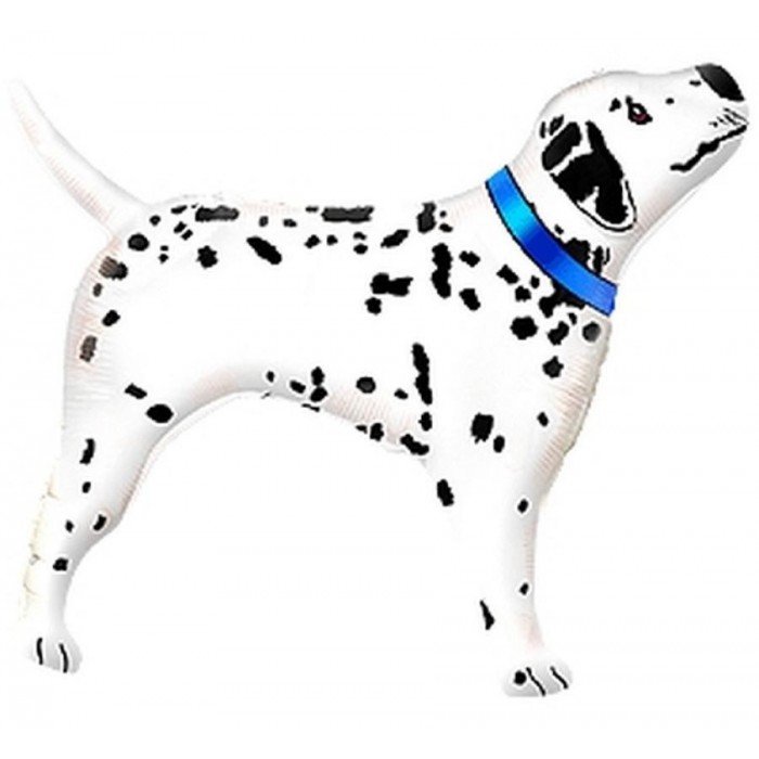 Dalmation Dog, Dalmata fólia lufi 61 cm (WP)