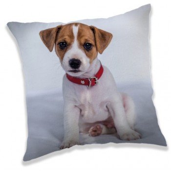 Kutyás párna, díszpárna 40*40 cm Kutyás párna, díszpárna 40*40 cm