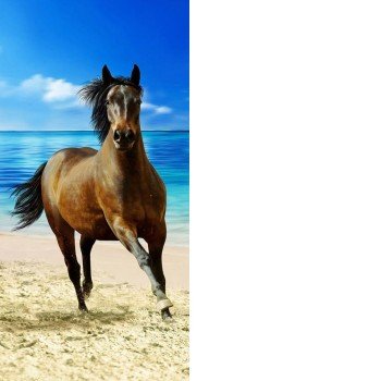 Lovas fürdőlepedő, strand törölköző 70x140cm Lovas fürdőlepedő, strand törölköző 70x140cm