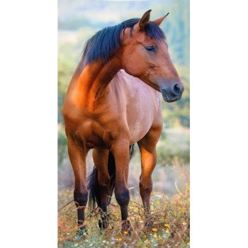 Lovas Brown kéztörlő arctörlő, törölköző 30*50cm Lovas Brown kéztörlő arctörlő, törölköző 30*50cm