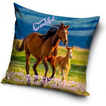 Lovas párna, díszpárna 40*40 cm Lovas párna, díszpárna 40*40 cm