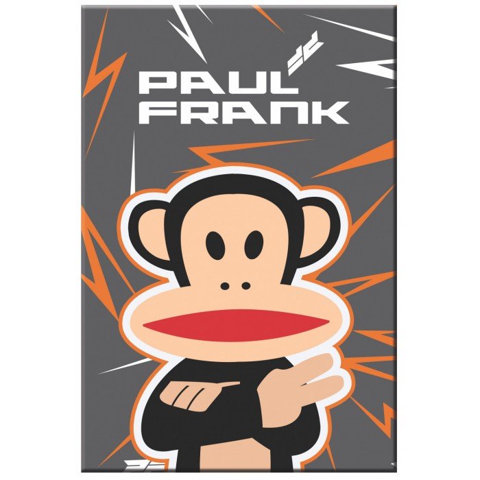 Paul Frank B/5 vonalas füzet 40 lapos