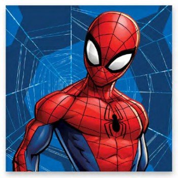 Pókember Web kéztörlő, arctörlő, törölköző 30x30cm Pókember Web kéztörlő, arctörlő, törölköző 30x30cm
