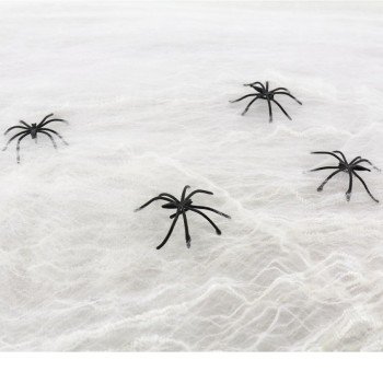 Spider Web, Pókháló pókokkal Spider Web, Pókháló pókokkal