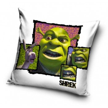 Shrek párnahuzat 40x40 cm Velúr Shrek párnahuzat 40x40 cm Velúr